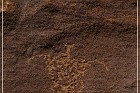 Shay Canyon Petroglyphs