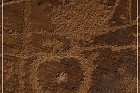 Shay Canyon Petroglyphs