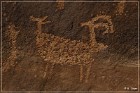 Shay Canyon Petroglyphs