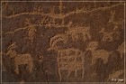 Shay Canyon Petroglyphs