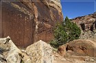 Shay Canyon Petroglyphs