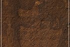 Shay Canyon Petroglyphs