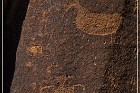 Shay Canyon Petroglyphs