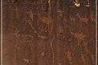 Shay Canyon Petroglyphs