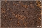Shay Canyon Petroglyphs