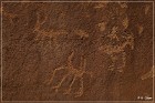 Shay Canyon Petroglyphs