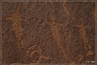Shay Canyon Petroglyphs