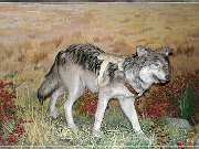 Head Smashed-In Buffalo Jump