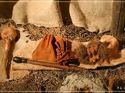 Head Smashed-In Buffalo Jump