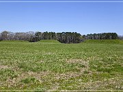 Moundville Archaeological Park