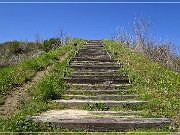 Moundville Archaeological Park