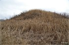Winterville Mounds SP