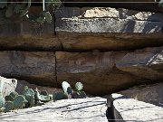 Paint Rock Pictographs