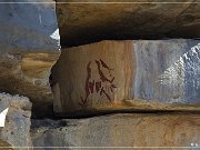 Paint Rock Pictographs