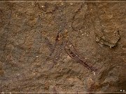 Fate Bell Pictograph Site, Cave 1