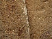 Fate Bell Pictograph Site, Cave 1