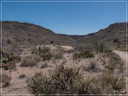 Badger Springs Trail