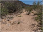 Badger Springs Trail