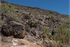 Badger Springs Trail