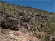 Badger Springs Trail