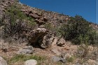 Badger Springs Trail