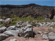 Badger Springs Trail