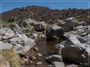 Badger Springs Trail