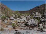 Badger Springs Trail