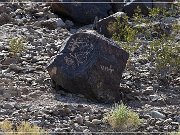 Antelope Hill Petroglyphs