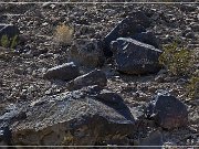 Antelope Hill Petroglyphs