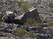 Antelope Hill Petroglyphs