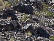 Antelope Hill Petroglyphs