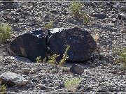 Antelope Hill Petroglyphs