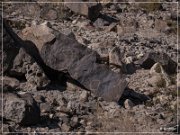 Antelope Hill Petroglyphs