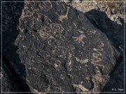 Antelope Hill Petroglyphs