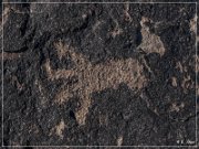 Antelope Hill Petroglyphs