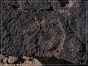 Antelope Hill Petroglyphs