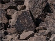 Antelope Hill Petroglyphs