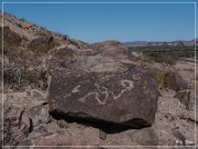 Antelope Hill Petroglyphs