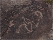 Antelope Hill Petroglyphs