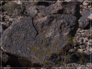 Antelope Hill Petroglyphs