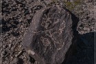 Antelope Hill Petroglyphs