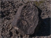 Antelope Hill Petroglyphs