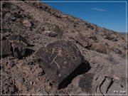 Antelope Hill Petroglyphs