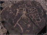 Antelope Hill Petroglyphs