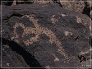 Antelope Hill Petroglyphs