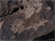 Antelope Hill Petroglyphs