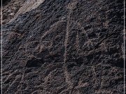 Antelope Hill Petroglyphs