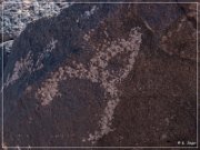 Antelope Hill Petroglyphs