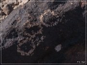 Antelope Hill Petroglyphs